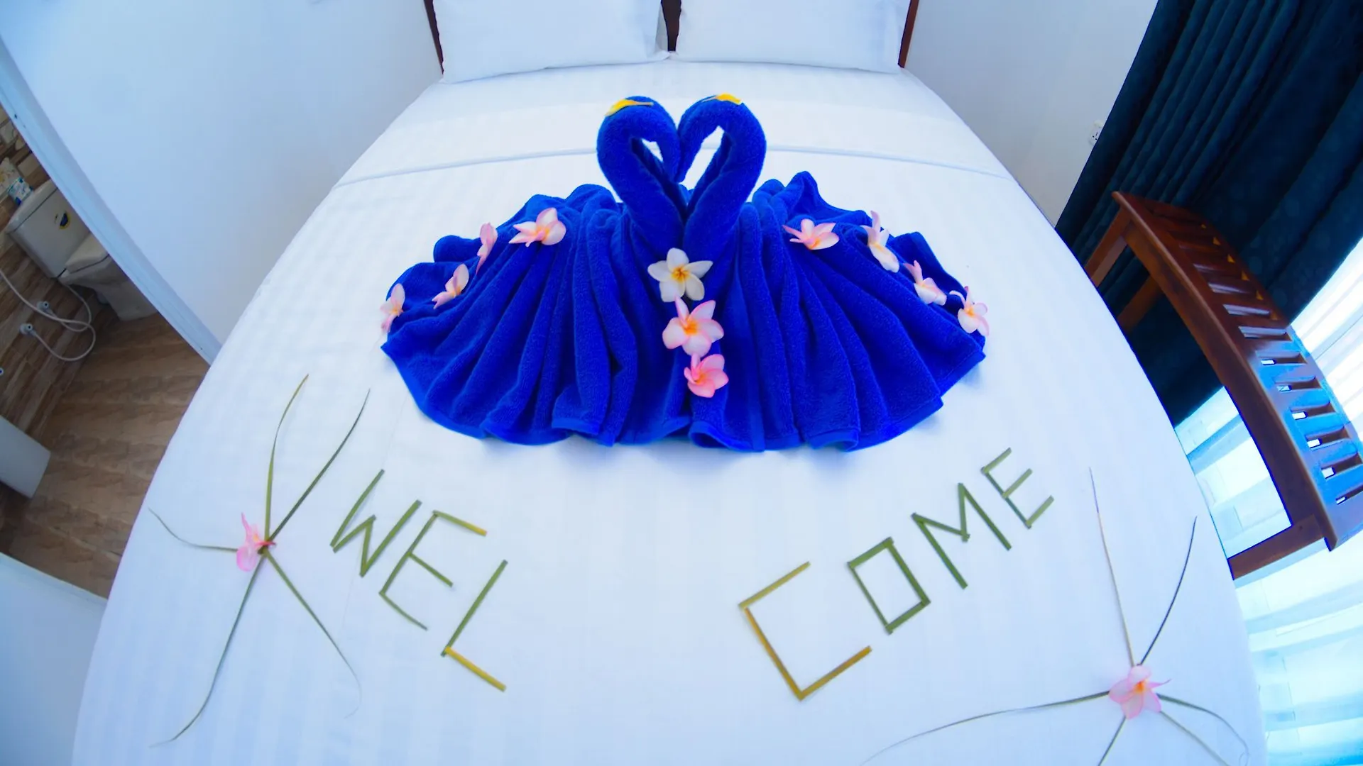 Guest house Nebula Residence Negombo