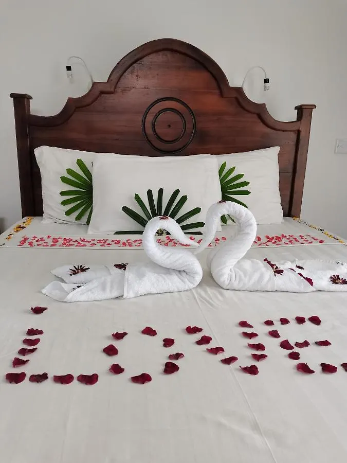Penzion Nebula Residence Negombo