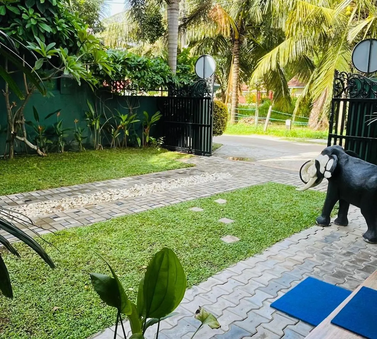 Nebula Residence Negombo Penzion